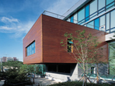 ��ξ�̿������